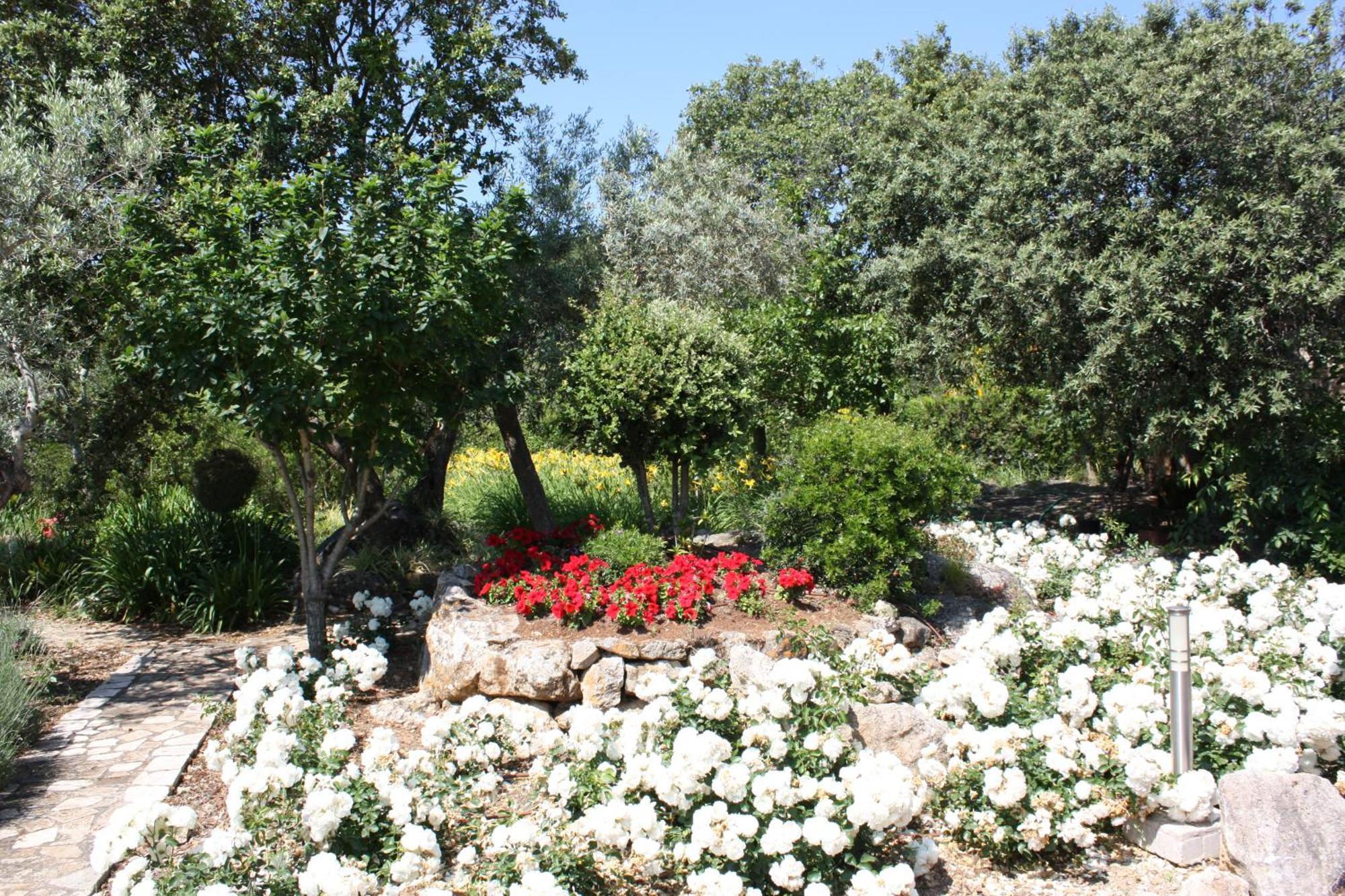Villa Golf Marina *